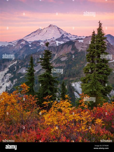 mt baker snoqualmie national forest|More.